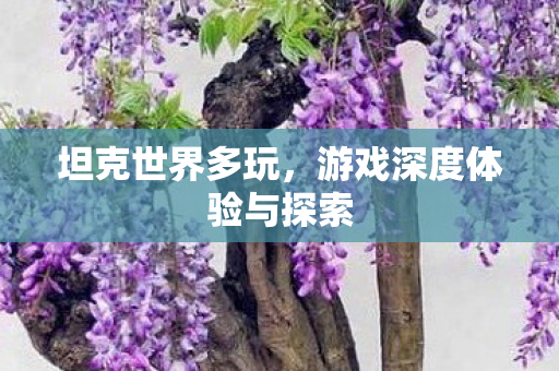 游戏深度体验与探索图片