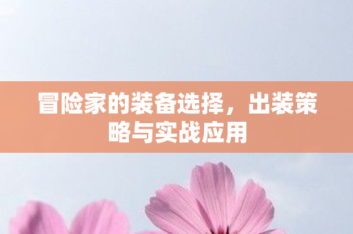 出装策略与实战应用图片