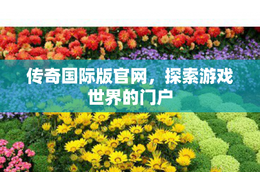 探索游戏世界的门户图片