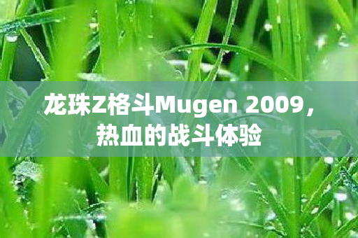 龙珠Z格斗Mugen 2009图片
