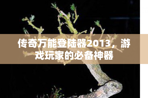 传奇万能登陆器2013图片