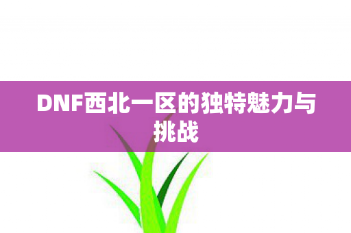 DNF西北一区的独特魅力与挑战图片
