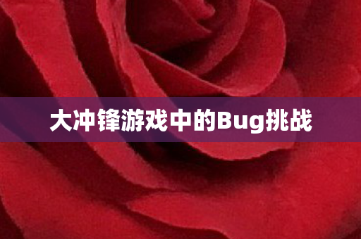 大冲锋游戏中的Bug挑战图片