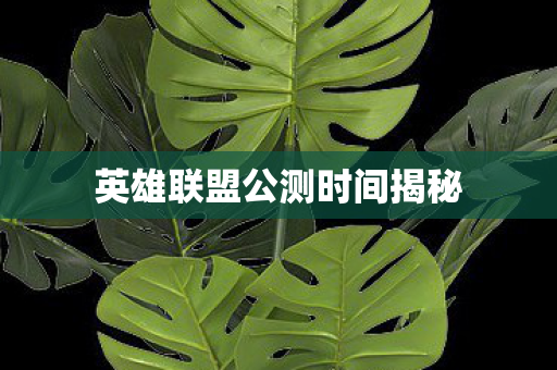 英雄联盟公测时间揭秘图片