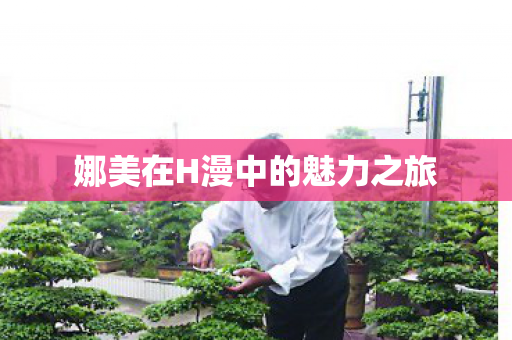 娜美在H漫中的魅力之旅图片