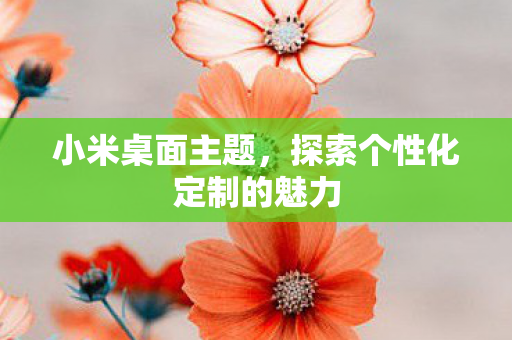 探索个性化定制的魅力图片