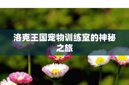 洛克王国宠物训练室的神秘之旅图片