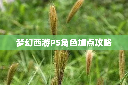 梦幻西游PS角色加点攻略图片