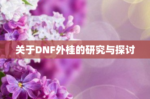 关于DNF外桂的研究与探讨图片