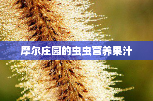 摩尔庄园的虫虫营养果汁图片