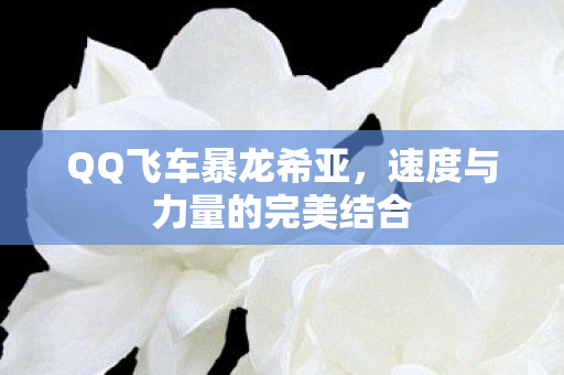 速度与力量的完美结合图片