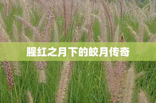 腥红之月下的皎月传奇图片