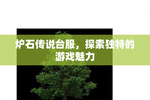 探索独特的游戏魅力图片