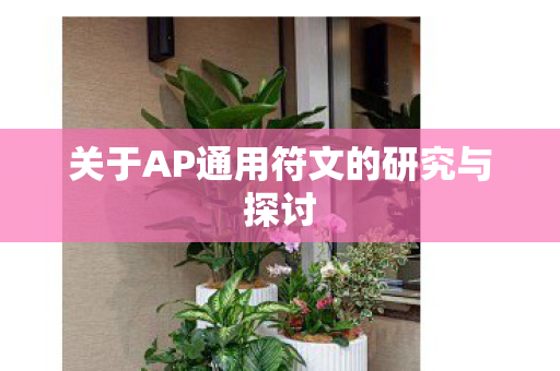 关于AP通用符文的研究与探讨图片