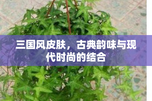 古典韵味与现代时尚的结合图片