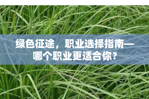 哪个职业更适合你图片
