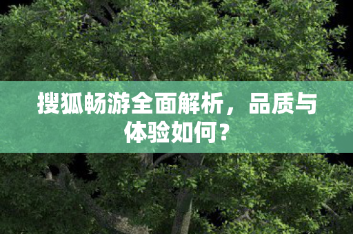 搜狐畅游全面解析图片