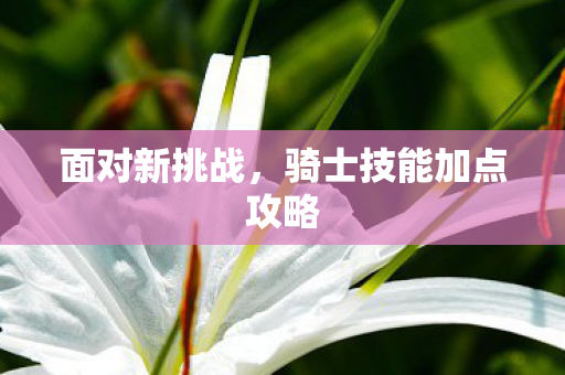 骑士技能加点攻略图片
