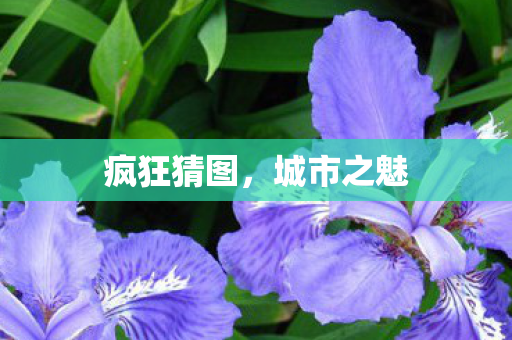 疯狂猜图图片