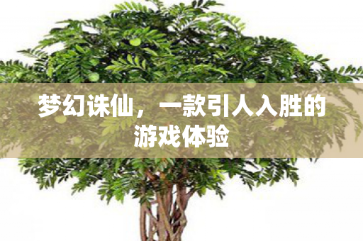 一款引人入胜的游戏体验图片