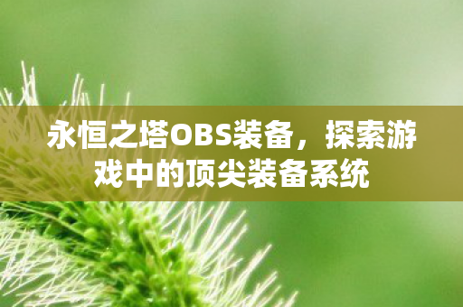 探索游戏中的顶尖装备系统图片