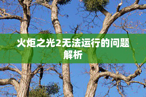 火炬之光2无法运行的问题解析图片