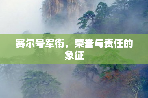 荣誉与责任的象征图片