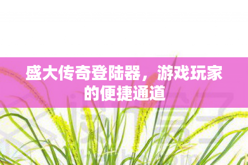 游戏玩家的便捷通道图片