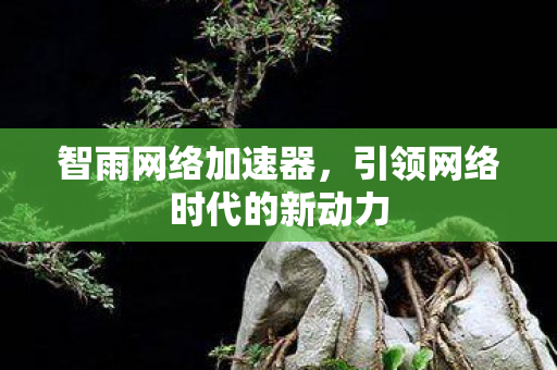 引领网络时代的新动力图片