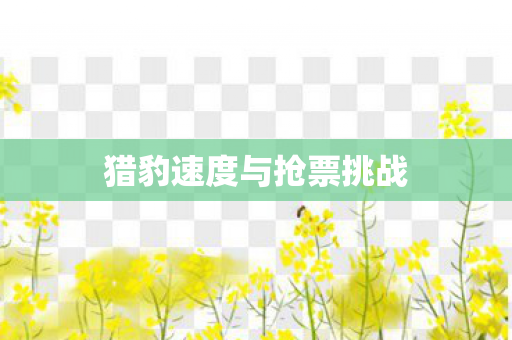 猎豹速度与抢票挑战图片