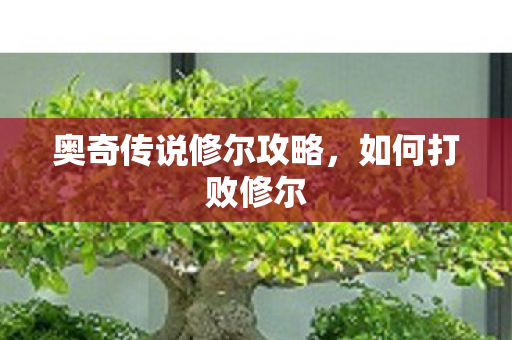 奥奇传说修尔攻略图片