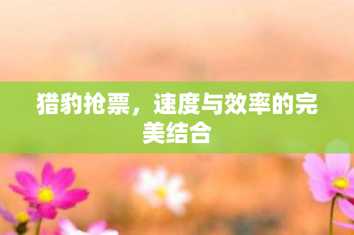 速度与效率的完美结合图片