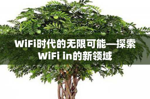 探索WiFi in的新领域图片