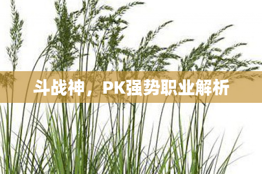 PK强势职业解析图片