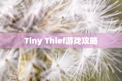 Tiny Thief游戏攻略图片