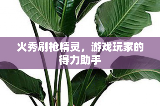 游戏玩家的得力助手图片