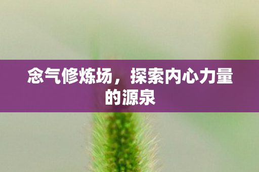 探索内心力量的源泉图片