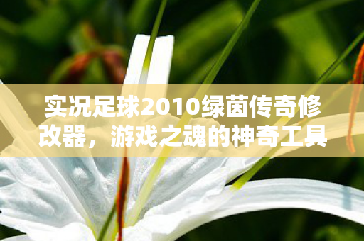 实况足球2010绿茵传奇修改器图片