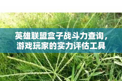 英雄联盟盒子战斗力查询图片