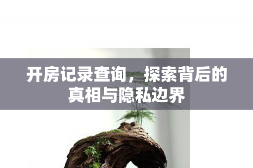 探索背后的真相与隐私边界图片