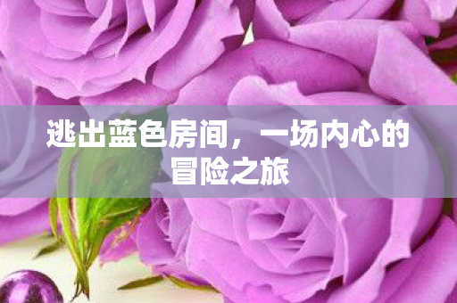 一场内心的冒险之旅图片