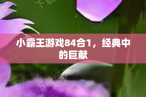 小霸王游戏84合1图片
