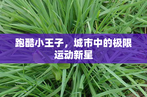 城市中的极限运动新星图片