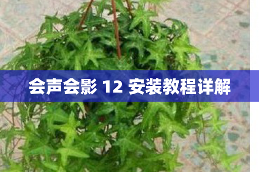 会声会影 12 安装教程详解图片