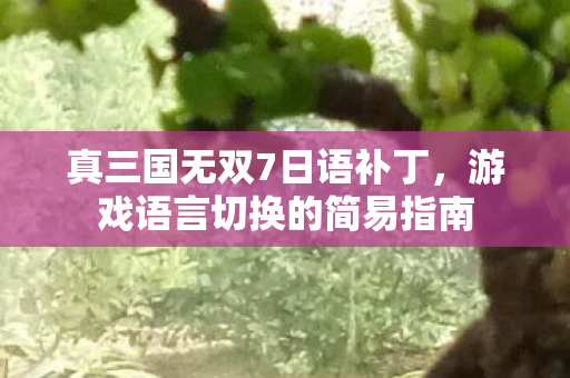 游戏语言切换的简易指南图片