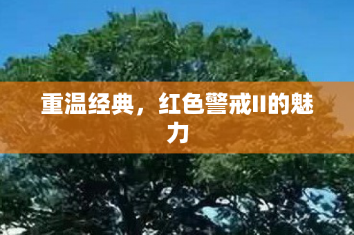 红色警戒II的魅力图片