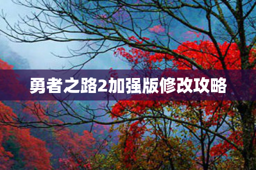 勇者之路2加强版修改攻略图片