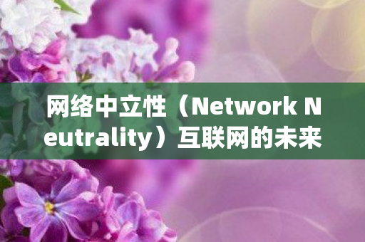 Network Neutrality图片