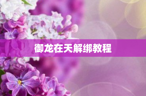 御龙在天解绑教程图片