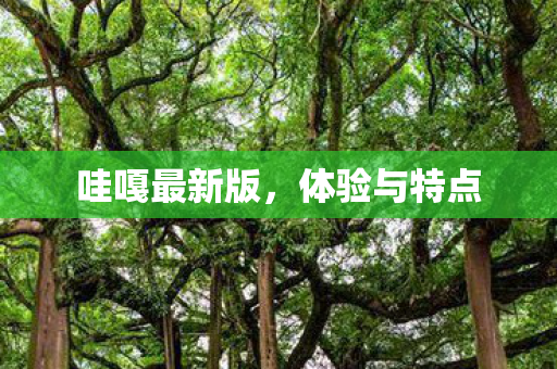 哇嘎最新版图片